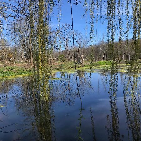 La Barcelle, Une Pause Nature. Perrigny  ภายนอก รูปภาพ