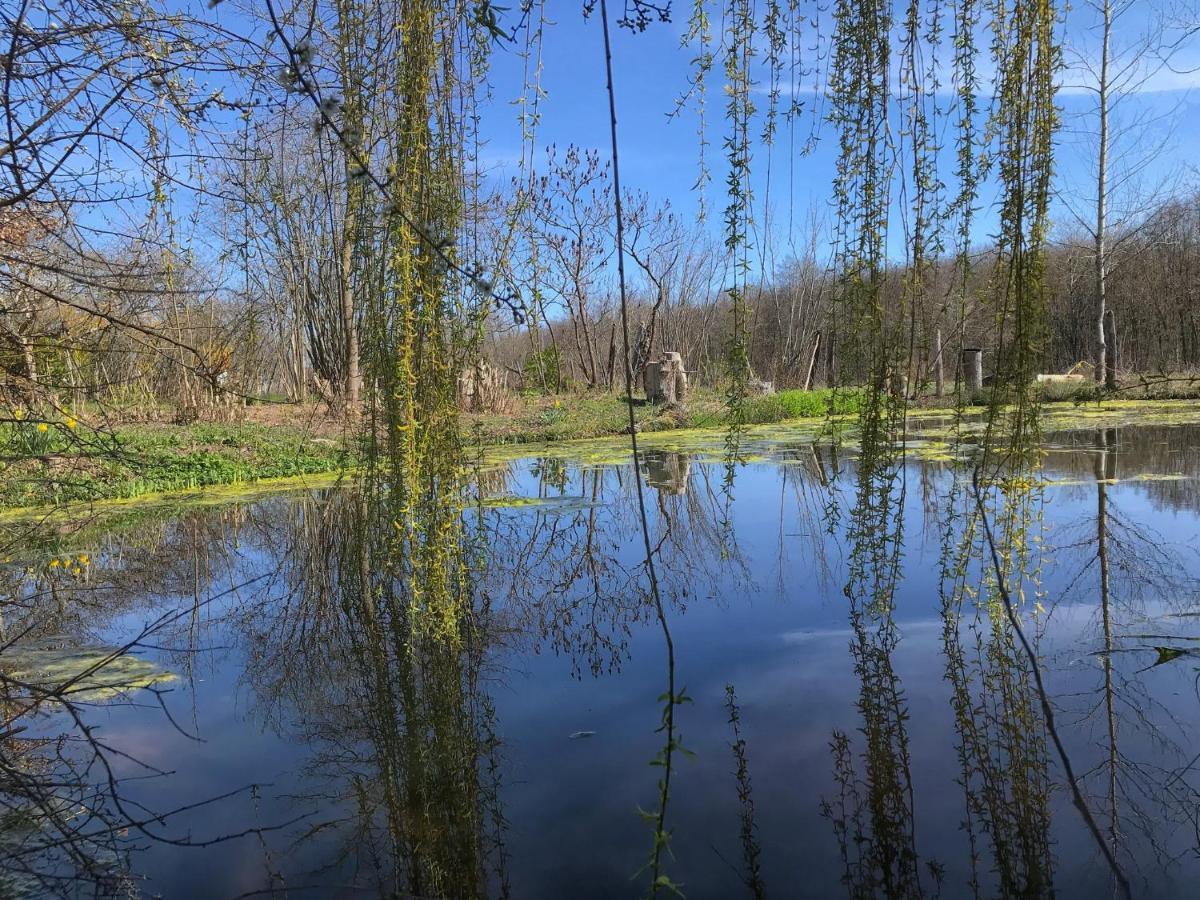 La Barcelle, Une Pause Nature. Perrigny  ภายนอก รูปภาพ